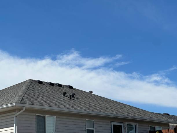 Fast & Reliable Emergency Roof Repairs in Judson, SC